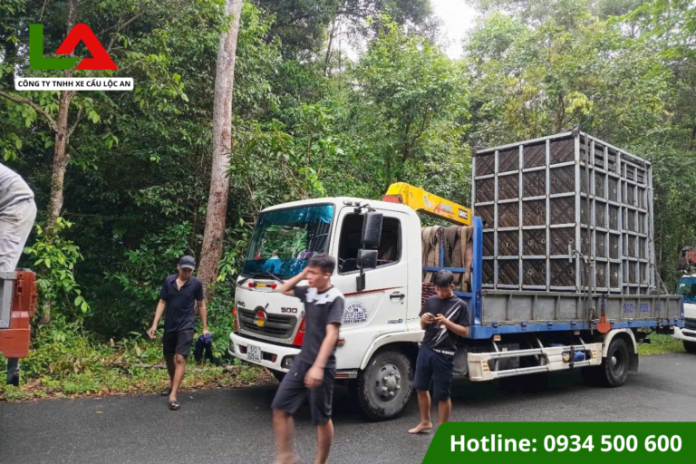 Bảng Giá Thuê Xe Cẩu Thùng Theo Chuyến